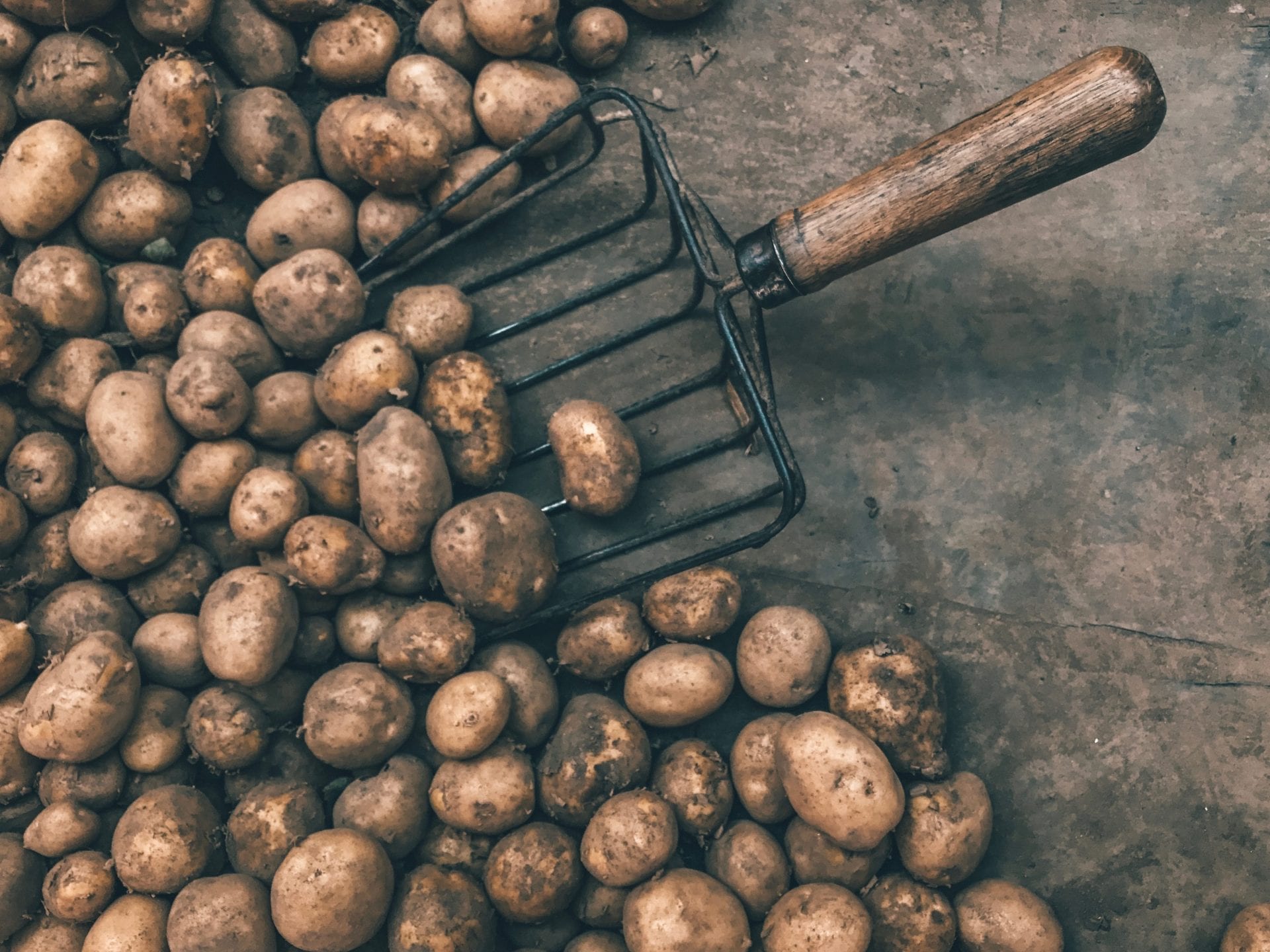 Vypestujte si zdravé zemiaky