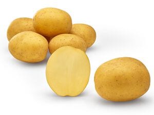 Odroda zemiakov Pocahontas