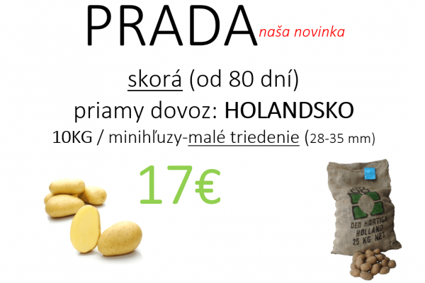 Prada obr.