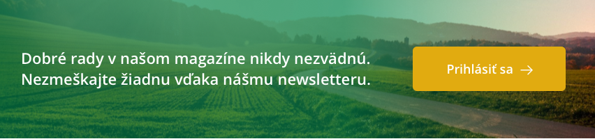 Osivo Newsletter